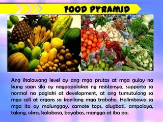 Food Pyramid




Ang ikalawang level ay ang mga prutas at mga gulay na
kung saan sila ay nagpapalakas ng resistensya, supporta sa
normal na paglaki at development, at ang tumutulong sa
mga cell at organs sa kanilang mga trabaho. Halimbawa sa
mga ito ay malunggay, camote tops, alugbati, ampalaya,
talong, okra, kalabasa, bayabas, mangga at iba pa.
 