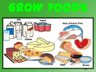 GROW FOODS
 