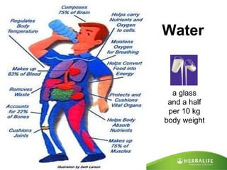 Water a glass and a half per 10 kg body weight 