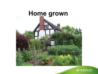 Home grown 