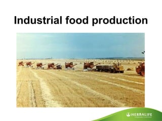 Industrial food production 