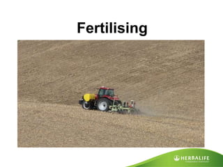 Fertilising 