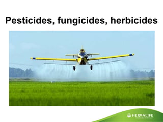 Pesticides, fungicides, herbicides 