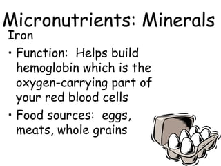 Micronutrients: Minerals
Iron
• Function: Helps build
  hemoglobin which is the
  oxygen-carrying part of
  your red blood cells
• Food sources: eggs,
  meats, whole grains
 