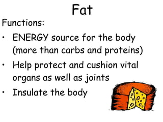 Functions:
• ENERGY source for the body
(more than carbs and proteins)
• Help protect and cushion vital
organs as well as joints
• Insulate the body
Fat
 