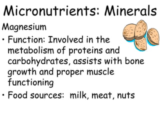 Micronutrients: Minerals
Magnesium
• Function: Involved in the
metabolism of proteins and
carbohydrates, assists with bone
growth and proper muscle
functioning
• Food sources: milk, meat, nuts
 
