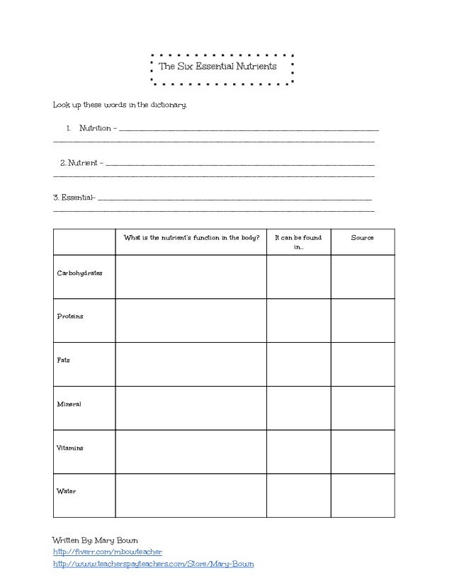 Middle school book report worksheet