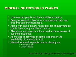 MINERAL NUTRITION IN PLANTS
 Like animals plants too have nutritional needs.
 Being autotrophic plants can manufacture their own
food through photosynthesis.
 Along with basic factors necessary for photosynthesis
plants have many nutritional needs.
 Plants are anchored in soil and soil is the reservoir of
essential nutrients.
 All metabolic activities of plants depend on the
availability of nutrients in soil.
 Mineral required to plants can be classify as
 1 macronutrients
 2 micronutrients

Azhar Zeb M.Sc Zoology.03469447715,izhaar99@yahoo
3

 