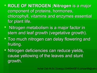  ROLE OF NITROGEN ;Nitrogen is a major
component of proteins, hormones,
chlorophyll, vitamins and enzymes essential
for plant life.
 Nitrogen metabolism is a major factor in
stem and leaf growth (vegetative growth).
 Too much nitrogen can delay flowering and
fruiting.
 Nitrogen deficiencies can reduce yields,
cause yellowing of the leaves and stunt
growth.

Azhar Zeb M.Sc Zoology.03469447715,izhaar99@yahoo
5

 