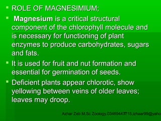  ROLE OF MAGNESIMIUM;
 Magnesium is a critical structural
component of the chlorophyll molecule and
is necessary for functioning of plant
enzymes to produce carbohydrates, sugars
and fats.
 It is used for fruit and nut formation and
essential for germination of seeds.
 Deficient plants appear chlorotic, show
yellowing between veins of older leaves;
leaves may droop.

Azhar Zeb M.Sc Zoology.03469447715,izhaar99@yahoo
7

 