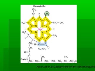 Azhar Zeb M.Sc Zoology.03469447715,izhaar99@yahoo
8

 