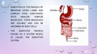 1.

DIGESTION IS THE PROCESS OF
BREAKING DOWN LARGE AND
COMPLEX
INTO

FOOD

SUBSTANCES

SMALLER,

SIMPLER

MOLECULES. THESE MOLECULES
ARE

SOLUBLE

AND

CAN

BE

ABSORBED BY BODY CELLS.
2.

THE

DIGESTIVE

PROCESS

OCCURS IN A SYSTEM WHICH
IS

CALLED

SYSTEM.

THE

DIGESTIVE

 
