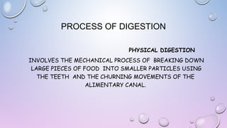 PROCESS OF DIGESTION
PHYSICAL DIGESTION
INVOLVES THE MECHANICAL PROCESS OF BREAKING DOWN
LARGE PIECES OF FOOD INTO SMALLER PARTICLES USING
THE TEETH AND THE CHURNING MOVEMENTS OF THE
ALIMENTARY CANAL.

 