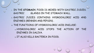 i.

ii.

iii.

IN THE STOMACH, FOOD IS MIXED WITH GASTRIC JUICES.
GASTRIC
GLANDS IN THE STOMACH WALL.
GASTRIC JUICES CONTAINS HYDROCHLORIC ACID AND
ENZYMES (RENNIN AND PEPSIN) .
THE FUNCTIONS OF HYDROCHLORIC ACID INCLUDE:
a.

b.

HYDROCHLORIC ACID STOPS THE ACTION OF THE
ENZYMES IN SALIVA.
IT ALSO KILLS BACTERIA IN FOOD.

 