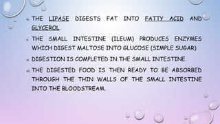 iv.

THE

LIPASE

DIGESTS

FAT

INTO

FATTY

ACID

AND

GLYCEROL.
v.

THE

SMALL

INTESTINE

(ILEUM)

PRODUCES

ENZYMES

WHICH DIGEST MALTOSE INTO GLUCOSE (SIMPLE SUGAR)
vi.

DIGESTION IS COMPLETED IN THE SMALL INTESTINE.

vii.

THE DIGESTED FOOD IS THEN READY TO BE ABSORBED
THROUGH THE THIN WALLS OF THE SMALL INTESTINE
INTO THE BLOODSTREAM.

 