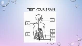 TEST YOUR BRAIN

 