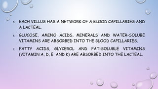 5.

6.

7.

EACH VILLUS HAS A NETWORK OF A BLOOD CAPILLARIES AND
A LACTEAL.
GLUCOSE, AMINO ACIDS, MINERALS AND WATER-SOLUBE
VITAMINS ARE ABSORBED INTO THE BLOOD CAPILLARIES.
FATTY ACIDS, GLYCEROL AND FAT-SOLUBLE VITAMINS
(VITAMIN A, D, E AND K) ARE ABSORBED INTO THE LACTEAL.

 