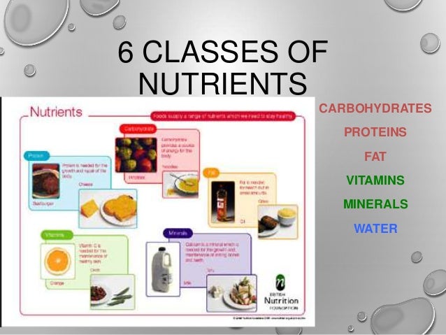 6 classes of nutrients