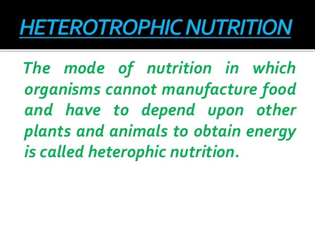 heterotrotropic nutrition