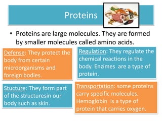 Proteins 
• Proteins are large molecules. They are formed 
by smaller molecules called amino acids. 
Defense: They protect the 
body from certain 
microorganisms and 
foreign bodies. 
Stucture: They form part 
of the structuresin our 
body such as skin. 
Regulation: They regulate the 
chemical reactions in the 
body. Enzimes are a type of 
protein. 
Transportation: some proteins 
carry specific molecules. 
Hemoglobin is a type of 
protein that carries oxygen. 
 
