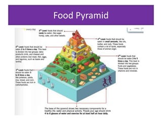 Food Pyramid 
