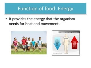Function of food: Energy 
• It provides the energy that the organism 
needs for heat and movement. 
 