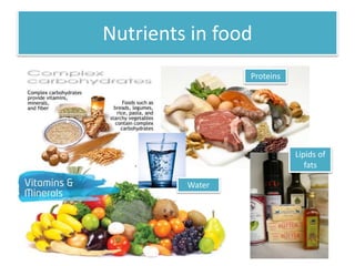 Nutrients in food 
Proteins 
Lipids of 
fats 
Water 
 