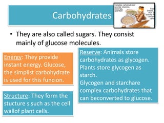 Carbohydrates 
• They are also called sugars. They consist 
mainly of glucose molecules. 
Energy: They provide 
instant energy. Glucose, 
the simplist carbohydrate 
is used for this funcion. 
Structure: They form the 
stucture s such as the cell 
wallof plant cells. 
Reserve: Animals store 
carbohydrates as glycogen. 
Plants store glycogen as 
starch. 
Glycogen and starchare 
complex carbohydrates that 
can beconverted to glucose. 
 