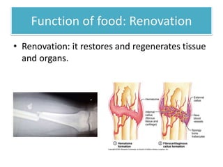 Function of food: Renovation 
• Renovation: it restores and regenerates tissue 
and organs. 
 