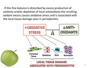 36
. If this fine balance is disturbed by excess production of
oxidants and/or depletion of local antioxidants the resulting
oxidant excess causes oxidative stress and is associated with
the local tissue damage seen in periodontitis
 