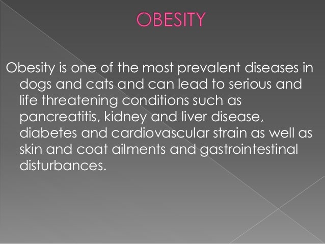 Endocrinologic Diseases Of Dogs And Cats Endocrinologic Diseases Of Dogs And Cats