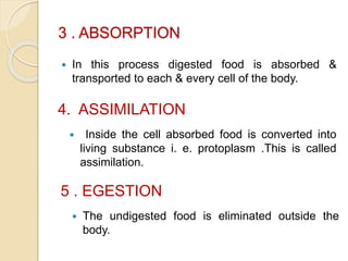 Nutrition | PPTX