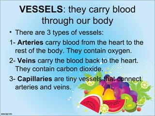 VESSELS: they carry blood
through our body
• There are 3 types of vessels:
1- Arteries carry blood from the heart to the
rest of the body. They contain oxygen.
2- Veins carry the blood back to the heart.
They contain carbon dioxide.
3- Capillaries are tiny vessels that connect
arteries and veins.
 