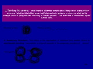 100
c. Tertiary Structure: - This refers to the three dimensional arrangement of the protein
structure (whether it is folded upon itself giving rise to globular proteins or whether its
straight chain of poly peptides resulting in fibrous protein). This structure is maintained by the
sulfide bond.
Globular protein Fibrous protein
d. Quaternary Structure:- This refers to the aggregation of individual poly peptide chains by
electrostatic bonding. Hemoglobin is a typical example of the quaternary structure of protein.
Hemoglobin A1 A2
B1 B2
 