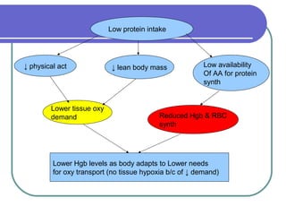 Low protein intake
↓ physical act ↓ lean body mass Low availability
Of AA for protein
synth
Lower tissue oxy
demand Reduced Hgb & RBC
synth
Lower Hgb levels as body adapts to Lower needs
for oxy transport (no tissue hypoxia b/c of ↓ demand)
 