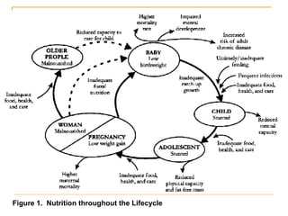 Figure 1. Nutrition throughout the Lifecycle
 
