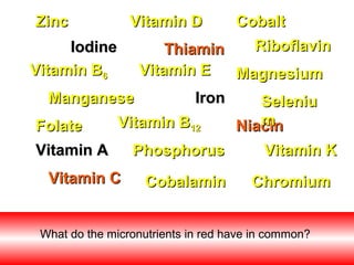 Vitamin AVitamin A
ThiaminThiamin RiboflavinRiboflavin
NiacinNiacinFolateFolate
ManganeseManganese
MagnesiumMagnesium
IronIron
IodineIodine
CobalaminCobalamin
CobaltCobaltZincZinc
Vitamin CVitamin C
Vitamin EVitamin E
Vitamin DVitamin D
Vitamin KVitamin K
Vitamin BVitamin B66
Vitamin BVitamin B1212
SeleniuSeleniu
mm
ChromiumChromium
PhosphorusPhosphorus
What do the micronutrients in red have in common?
 