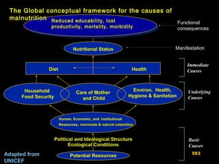 Human, Economic, and Institutional
Resources,, manmade & natural calamitiesmanmade & natural calamities
Nutritional Status
HealthDiet
Household
Food Security
Potential Resources
Ecological Conditions
Care of Mother
and Child
Environ. Health,
Hygiene & Sanitation
Political and Ideological Structure Basic
Causes
Immediate
Causes
Underlying
Causes
Adapted from
UNICEF
The Global conceptual framework for the causes of
malnutrition
Functional
consequences
Manifestation
Reduced educability, lost
productivity, mortality, morbidity
583
 
