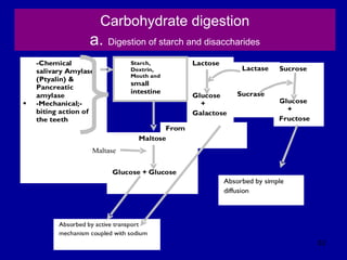 82
Carbohydrate digestion
a. Digestion of starch and disaccharides
Absorbed by active transport
mechanism coupled with sodium
Sucrose
Glucose
+
Fructose
From the small
intestine
-Chemical
salivary Amylase
(Ptyalin) &
Pancreatic
amylase
 -Mechanical;-
biting action of
the teeth
Maltose
Glucose + Glucose
Lactose
Glucose
+
Galactose
Absorbed by simple
diffusion
Lactase
Sucrase
Maltase
Starch,
Dextrin,
Mouth and
small
intestine
 