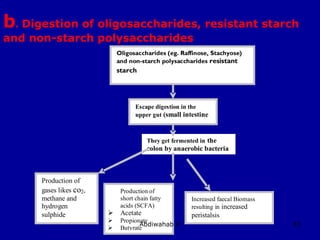 83
They get fermented in the
colon by anaerobic bacteria
Oligosaccharides (eg. Raffinose, Stachyose)
and non-starch polysaccharides resistant
starch
Escape digestion in the
upper gut (small intestine
Increased faecal Biomass
resulting in increased
peristalsis
Production of
short chain fatty
acids (SCFA)
 Acetate
 Propionate
 Butyrate
Production of
gases likes co2,
methane and
hydrogen
sulphide
b. Digestion of oligosaccharides, resistant starch
and non-starch polysaccharides
Abdiwahab H
 