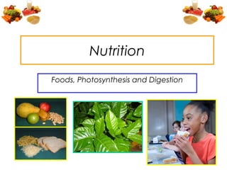 Nutrition
Foods, Photosynthesis and Digestion
 