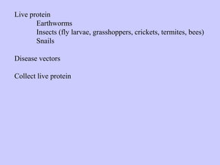 Live protein
Earthworms
Insects (fly larvae, grasshoppers, crickets, termites, bees)
Snails
Disease vectors
Collect live protein
 