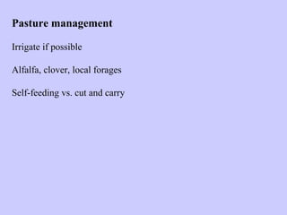 Pasture management
Irrigate if possible
Alfalfa, clover, local forages
Self-feeding vs. cut and carry
 