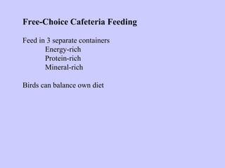 Free-Choice Cafeteria Feeding
Feed in 3 separate containers
Energy-rich
Protein-rich
Mineral-rich
Birds can balance own diet
 