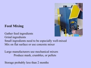 Feed Mixing
Gather feed ingredients
Grind ingredients
Small ingredients need to be especially well-mixed
Mix on flat surface or use concrete mixer
Large manufacturers use mechanical mixers
Produce mash, crumbles, or pellets
Storage probably less than 2 months
 