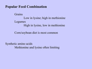 Popular Feed Combination
Grains
Low in lysine; high in methionine
Legumes
High in lysine, low in methionine
Corn/soybean diet is most common
Synthetic amino acids
Methionine and lysine often limiting
 