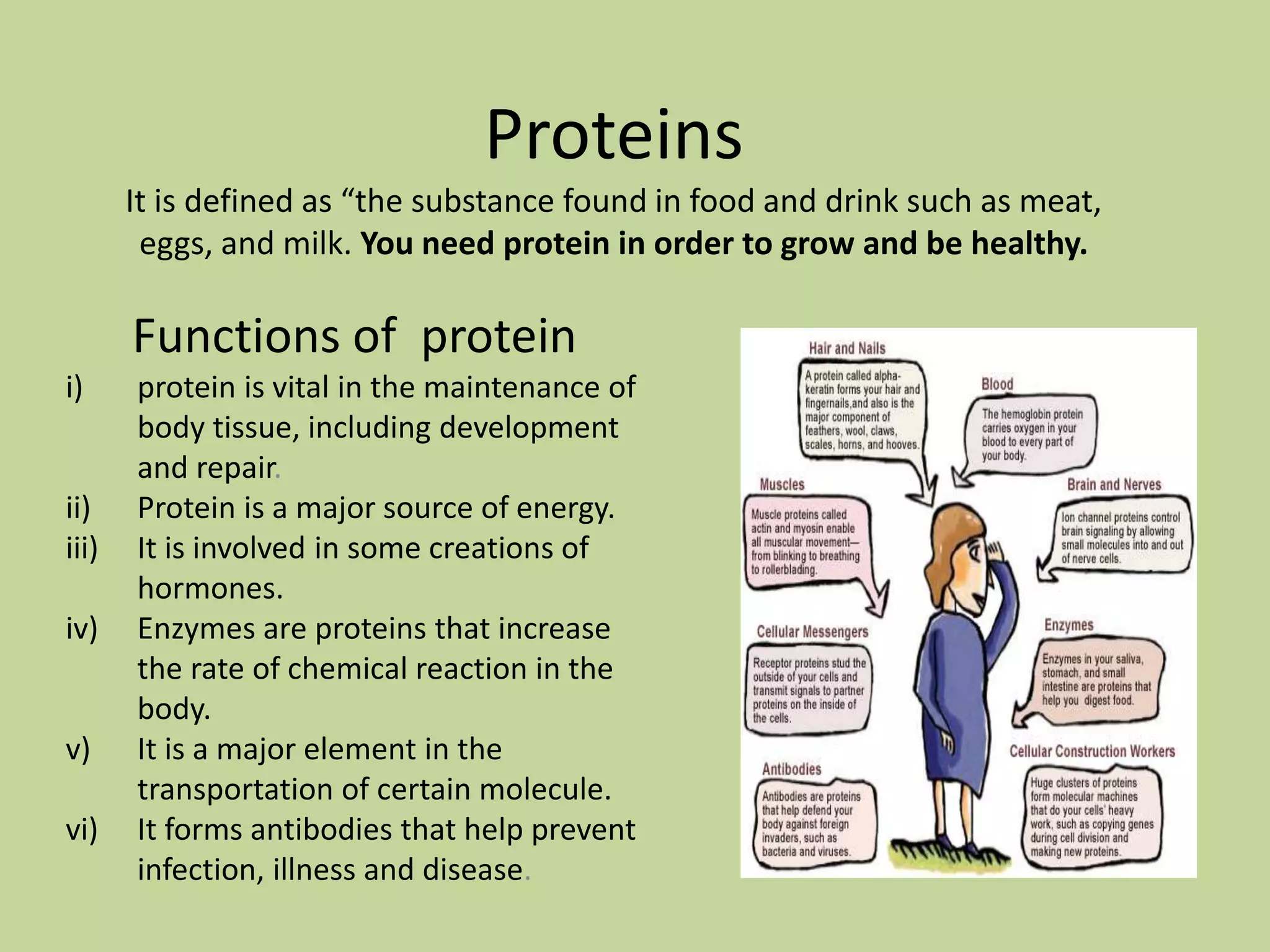 Nutrition | PPTX