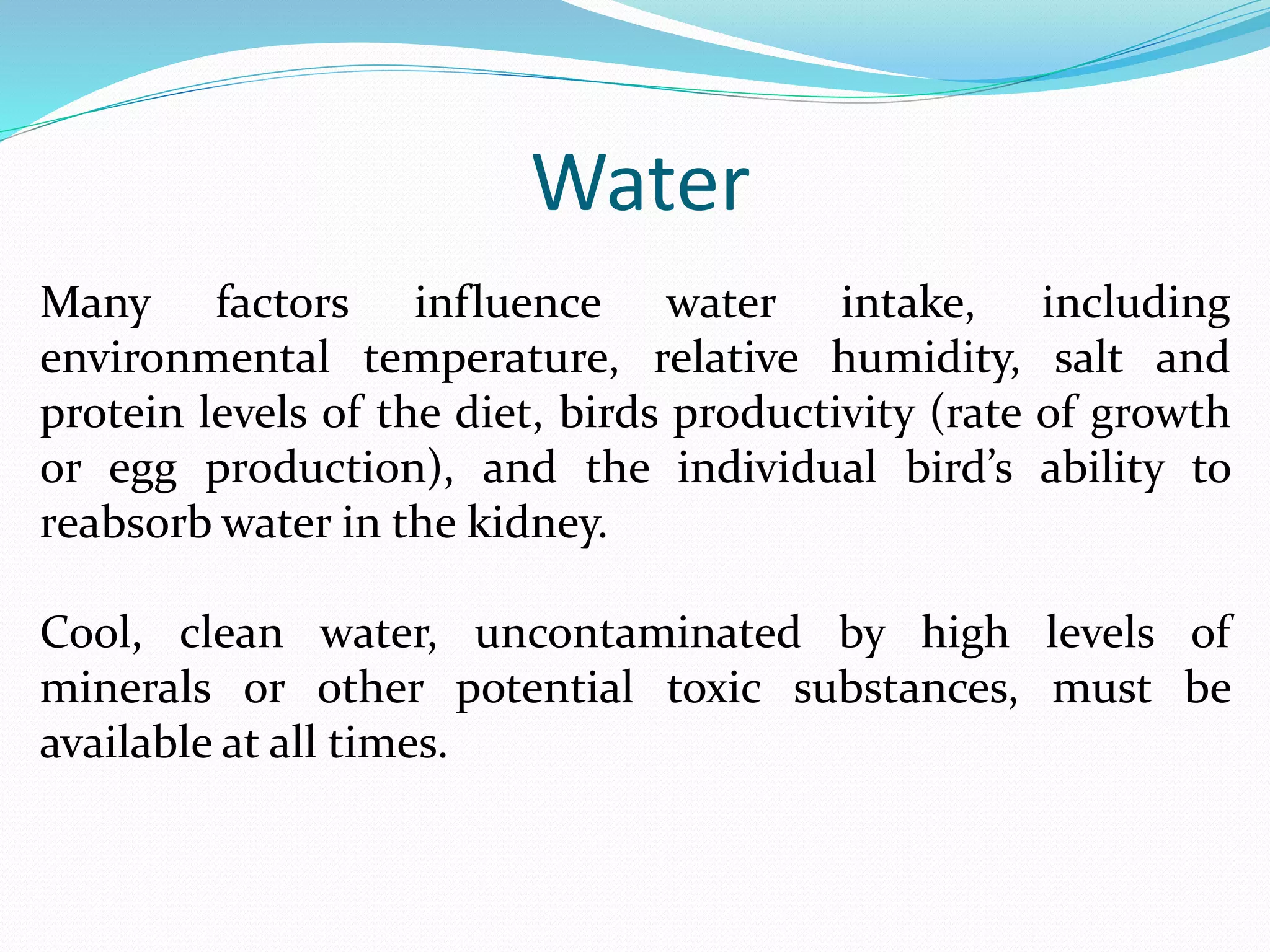 Curated visual reference: Picture Idea: Nutrition For Commercial Broiler And Layer Production