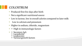 COLOSTRUM
• Produced first few days after birth
• Not a significant nutritional source
• Low in lactose, low in overall calories compared to later milk
• Low in calcium and potassium
• Higher in sodium, chloride, magnesium
• ▸ High in immunologic factors
• ▸ Secretory IgA
▸ Lactoferrin
▸ Leukocytes
▸ Various growth factors
 