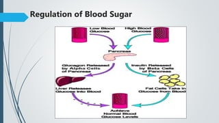 Regulation of Blood Sugar
 